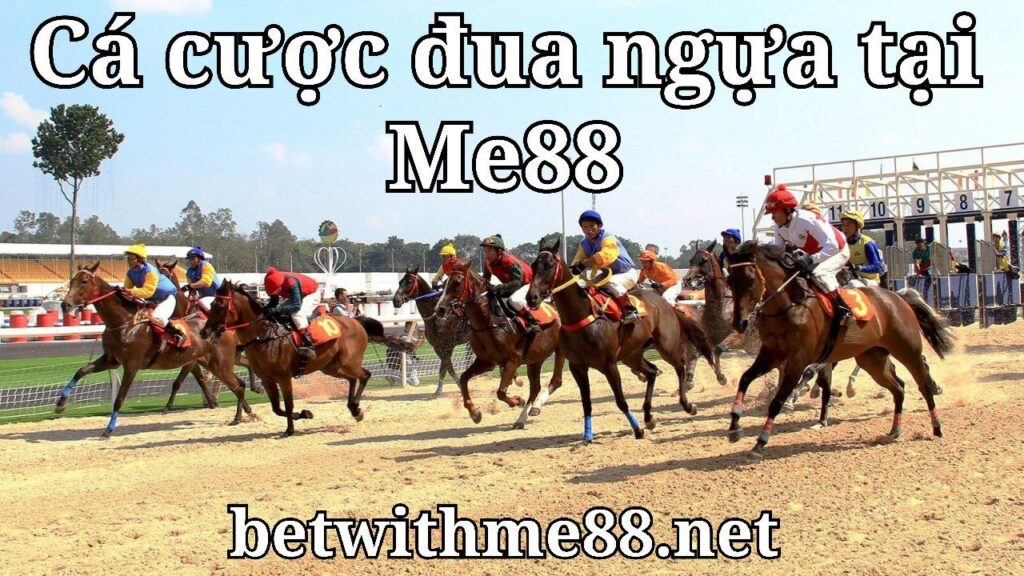 Cá cược đua ngựa tại Me88